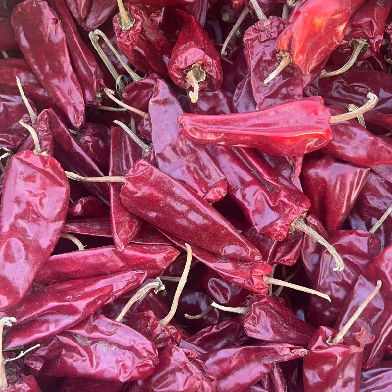 Yidu red Chili suppliers